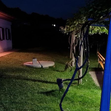 Turisticna Kmetija Hisa Ob Gozdu Pri Ptuju Βίλα Εξωτερικό φωτογραφία
