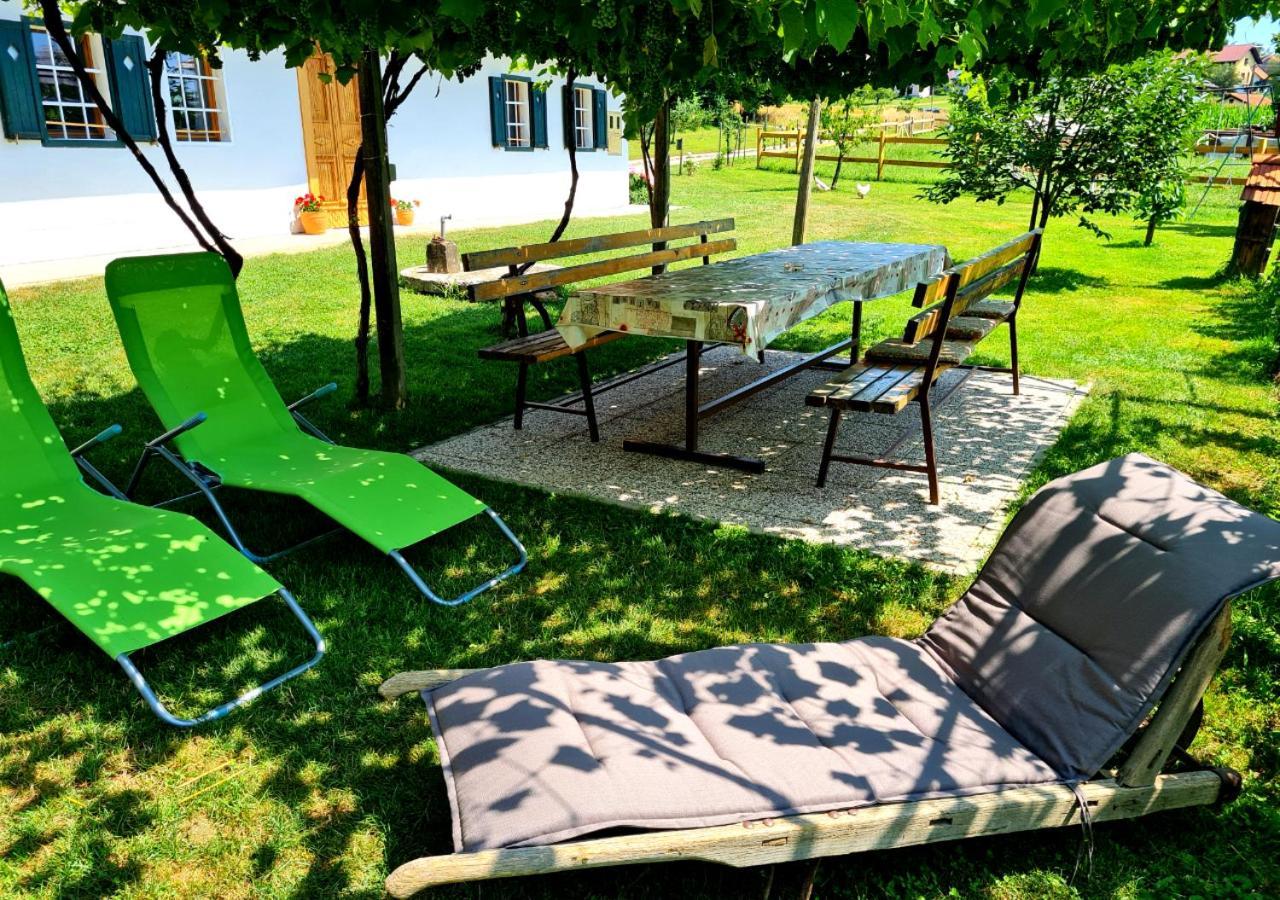 Turisticna Kmetija Hisa Ob Gozdu Pri Ptuju Βίλα Εξωτερικό φωτογραφία